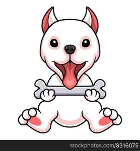 Cute dogo argentino dog cartoon holding a bone