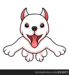 Cute dogo argentino dog cartoon jumping
