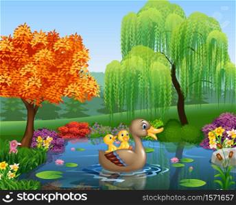 Cute duck swimming on the pond