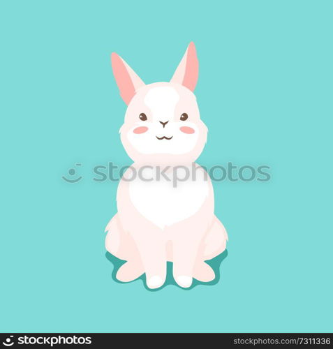 Cute Easter Bunny illustration. Cartoon rabbit smile character for traditional celebration.. Cute Easter Bunny illustration.