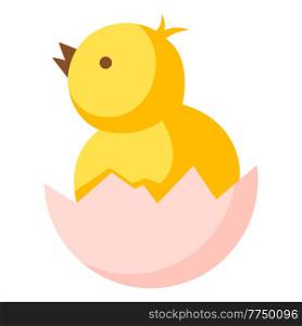 Cute Easter yellow chick illustration. Cartoon little chicken character for design.. Cute Easter yellow chick illustration. Cartoon chicken character for design.
