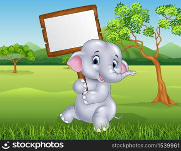 Cute elephant holding blank sign in the jungle