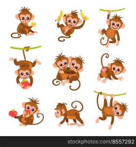 Cute exotic monkey characters. Cartoon funny little primates. Different poses. Wild tropical animal hanging on vines. Isolated marmoset playing or eating fruit. Rainforest fauna. Splendid vector set. Cute exotic monkey characters. Cartoon funny primates. Different poses. Tropical animal hanging on vines. Isolated marmoset playing or eating fruit. Rainforest fauna. Splendid vector set