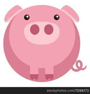 Cute fat pig, illustration, vector on white background.