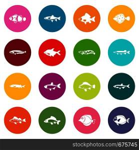 Cute fish icons many colors set isolated on white for digital marketing. Cute fish icons many colors set