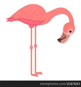 Cute flamingo icon cartoon vector. Pink bird. Tropical summer flamingo. Cute flamingo icon cartoon vector. Pink bird