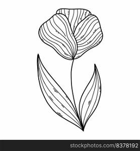 Cute flower in doodle style. Hand drawn drawing of plant. Coloring book.