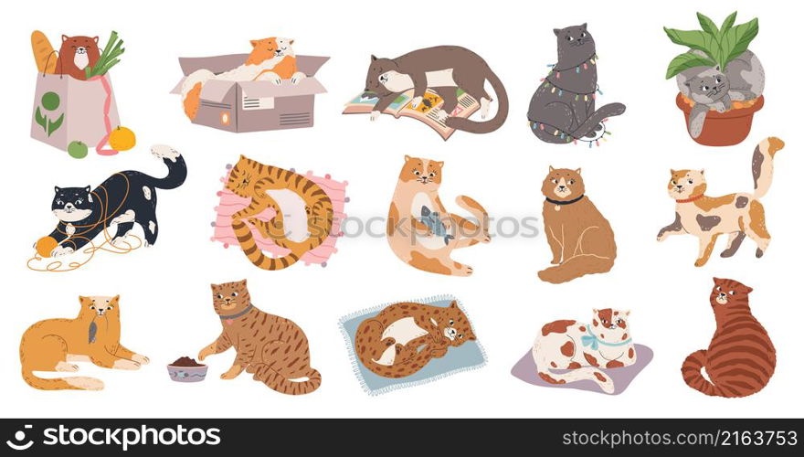 Cute fluffy kitty collection play or sleep. Vector feline fluffy, funny cat play and relaxing, adorable pet illustration. Cute fluffy kitty collection play or sleep