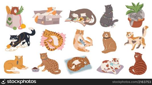 Cute fluffy kitty collection play or sleep. Vector feline fluffy, funny cat play and relaxing, adorable pet illustration. Cute fluffy kitty collection play or sleep