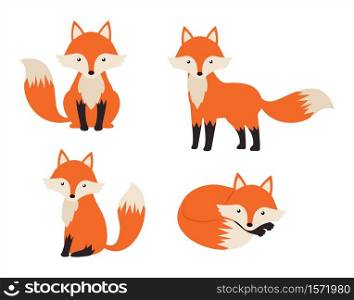Cute fox cartoon set isolated on white background - Vector illustration