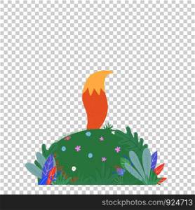Cute fox tail sticking up above of green field with leaves, grass and flowers isolated on transparent background. Cartoon flat vector baby illustration, scandinavian style, icon, clip art, sticker. fox tail sticking up above of field with leaves