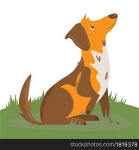 Cute friendly dog on a walk in the field, vector illustration in cartoon style