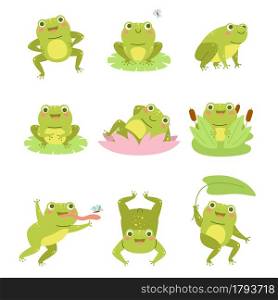 Cute frogs. Lotus flowers and funny cartoon toad character, different poses aquatic reptile, wild fauna collection, happy frogling in reeds. Beautiful amphibian mascot. Vector cartoon isolated set. Cute frogs. Lotus flowers and funny cartoon toad character, different poses aquatic reptile, wild fauna, happy frogling in reeds. Beautiful amphibian mascot. Vector cartoon set