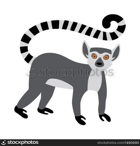Cute funny ring-tailed lemur. Exotic Lemur catta. Vector illustration in flat and cartoon style isolated on white background. Cute funny ring-tailed lemur. Exotic Lemur catta. Vector illustration in flat and cartoon style