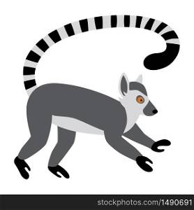 Cute funny ring-tailed lemur. Exotic Lemur catta. Vector illustration in flat and cartoon style isolated on white background. Cute funny ring-tailed lemur. Exotic Lemur catta. Vector illustration in flat and cartoon style