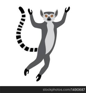 Cute funny ring-tailed lemur jumps. Exotic Lemur catta. Vector illustration in cartoon and flat style isolated on white background. Cute funny ring-tailed lemur jumps. Exotic Lemur catta. Vector illustration in cartoon and flat style