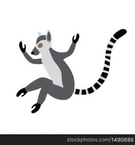 Cute funny ring-tailed lemur jumps. Exotic Lemur catta. Vector illustration in cartoon and flat style isolated on white background. Cute funny ring-tailed lemur jumps. Exotic Lemur catta. Vector illustration in cartoon and flat style