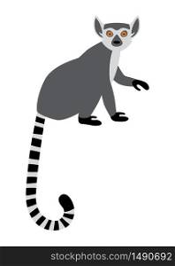 Cute funny ring-tailed lemur sitting. Exotic Lemur catta. Vector illustration in cartoon and flat style isolated on white background. Cute funny ring-tailed lemur sitting. Exotic Lemur catta. Vector illustration in cartoon and flat style