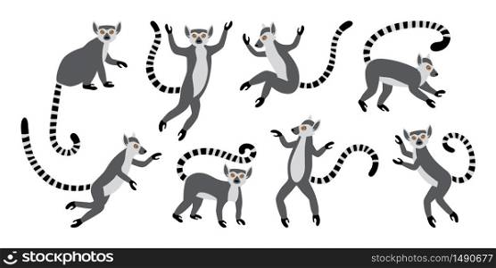 Cute funny ring-tailed lemurs. Exotic Lemur catta. Set of vector illustrations in cartoon and flat style isolated on white background. Cute funny ring-tailed lemurs. Exotic Lemur catta. Set of vector illustrations in cartoon and flat style
