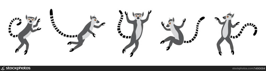 Cute funny ring-tailed lemurs jumps. Exotic Lemur catta. Set of vector illustrations in cartoon and flat style isolated on white background. Cute funny ring-tailed lemurs jumps. Exotic Lemur catta. Set of vector illustrations in cartoon and flat style