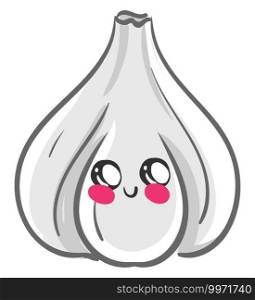 Cute garlic, illustration, vector on white background