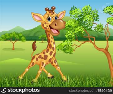 Cute giraffe in the jungle