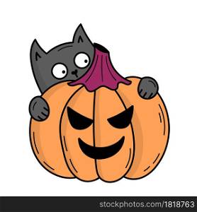 Cute gray cat with pumpkin for Halloween. Doodle style illustration
