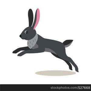 Cute gray jumping rabbit hare isolated on white background, forest, woodland animal, vector illustration in flat style. Cute gray jumping rabbit hare isolated on white background