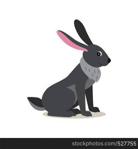Cute gray rabbit hare isolated on white background, forest, woodland animal, vector illustration in flat style. Cute gray rabbit hare isolated on white background