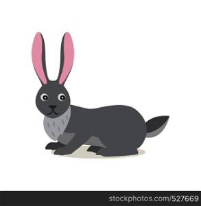 Cute gray rabbit hare isolated on white background, scared emotion, forest, woodland animal, vector illustration in flat style. Cute gray rabbit hare isolated on white background