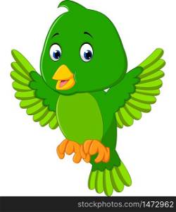 Cute green bird cartoon