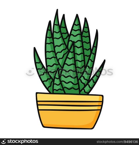 Cute green cartoon Haworthia succulent in yellow pot. Isolated vector illustration on white background