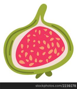 Cute green fig icon. Healthy exotic fruit isolated on white background. Cute green fig icon. Healthy exotic fruit