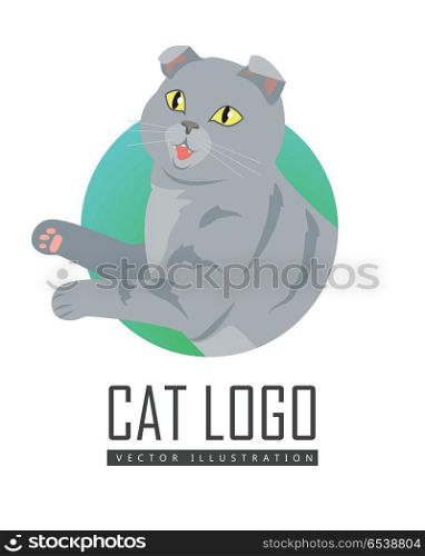 Cute Grey Cat. Cute grey cat playing with toy flat vector illustration isolated on white background. Purebred pet. Domestic friend and companion animal. For pet shop ad, hobby concept, breeding