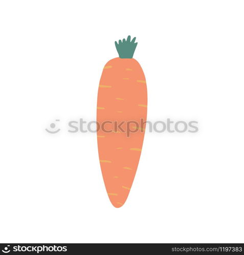 Cute hand drawn carrot isolated on white background. Doodle vegetable. Vegetarian healthy food. Fresh organic raw food ingredient. Gardening vector illustration. Cute hand drawn carrot isolated on white background.