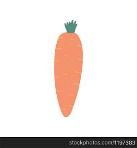 Cute hand drawn carrot isolated on white background. Doodle vegetable. Vegetarian healthy food. Fresh organic raw food ingredient. Gardening vector illustration. Cute hand drawn carrot isolated on white background.