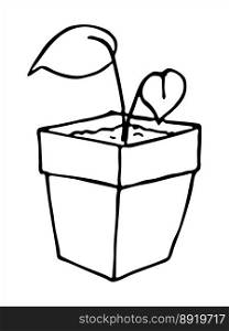 Cute hand drawn houseplant in a pot clipart Plant illustration Cozy home doodle
