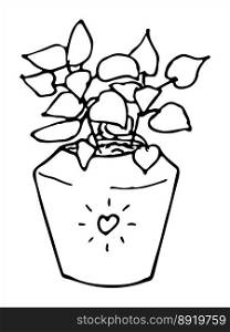 Cute hand drawn houseplant in a pot clipart Plant illustration Cozy home doodle