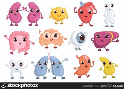Cute internal organs characters. Funny human brain, liver, lung and stomach. Cartoon healthy body system. Heart and bladder with happy faces. Kids educational medical icons. Vector anatomy mascots set. Cute internal organs characters. Funny human brain, liver, lung and stomach. Healthy body system. Heart and bladder with happy faces. Educational medical icons. Vector anatomy mascots set