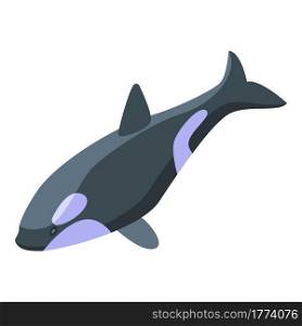 Cute killer whale icon. Isometric of Cute killer whale vector icon for web design isolated on white background. Cute killer whale icon, isometric style
