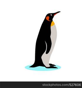 Cute King penguin icon, isolated on white background, adult bird, decorative element, vector illustration. King penguin icon, isolated on white background