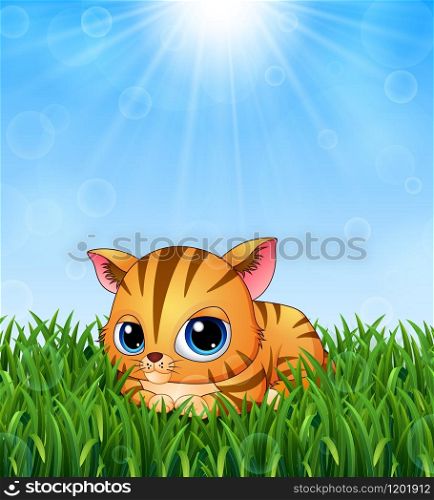Cute kitten cartoon lay down in the grass on a background of bright sunshine