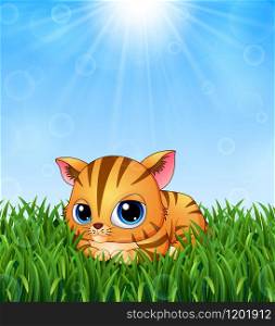 Cute kitten cartoon lay down in the grass on a background of bright sunshine