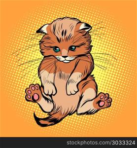 Cute kitten, pet cat. Cute kitten, pet cat. Comic book cartoon pop art retro illustration. Cute kitten, pet cat