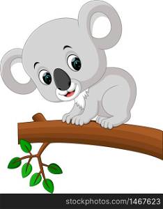 Cute koala cartoon