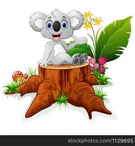 Cute koala sit on tree stump