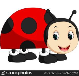 Cute ladybug cartoon