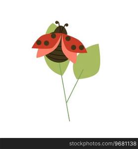 cute ladybug red bug animal on green leaf. Vector illustration isolated. cute ladybug red bug animal on green leaf