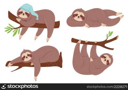 Cute lazy cloth. Sleepy cartoon characters hanging on branch. Funny animals in different poses. Lovely rainforest mammal climbing tree, relaxing on plant in sleeping hat isolated vector set. Cute lazy cloth. Sleepy cartoon characters hanging on branch. Funny animals in different poses. Lovely rainforest mammal