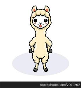 Cute little alpaca cartoon standing